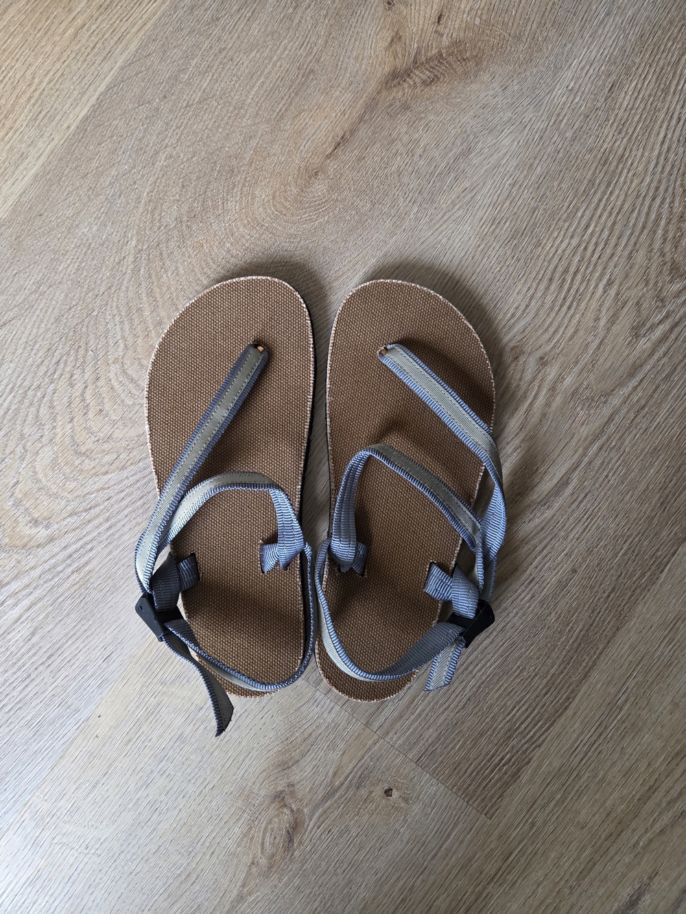 New Earth Runners Circadian